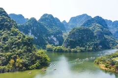 Vietnamese culture introduced in Egyptian locality