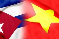 Vietnam keen on fostering traditional solidarity with Cuba: VUFO