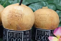 Thailand considers tightening control over coconut imports