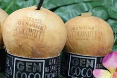 Thailand considers tightening control over coconut imports