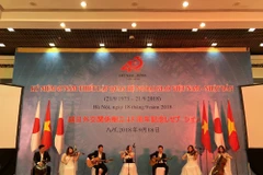 Japan treasures cooperation with Vietnam: Ambassador
