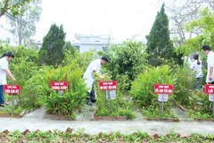 Use of traditional Vietnamese medicine expanded nationwide