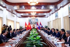 Vietnamese, Lao Party inspection agencies look to foster ties 