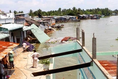 Mekong Delta province works to prevent coastal erosion