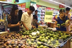 Out-of-home panel launched in Vietnam