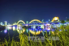 Da Nang to further improve investment environment in 2019