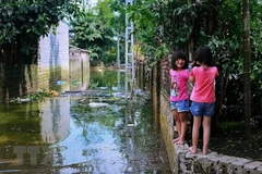 Hanoi ready to fight diseases in flood-hit areas