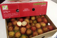 Vietnam’s rambutan to be shipped to New Zealand
