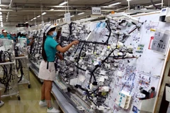 Index of Industrial Production rises 10.4 percent in 10 months