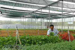 Forum seeks solutions for high-tech agriculture