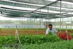 Forum seeks solutions for high-tech agriculture