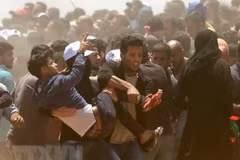 Condolences to Palestine over casualties in Gaza Strip conflict