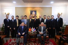 Vietnam, Thailand foster court cooperation