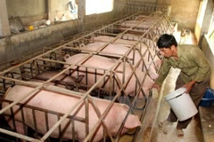 Links key for animal husbandry