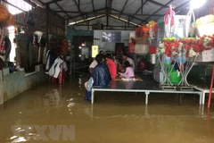 Minister urges synchronous measures to deal with natural disasters