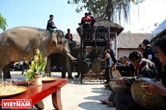 Flow of tourists to Dak Lak surges 20 percent during Tet
