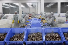 VASEP asks US to review anti-dumping duty on Vietnamese shrimp
