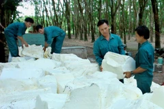 Dorufoam expands export to Russia, Europe, American markets 