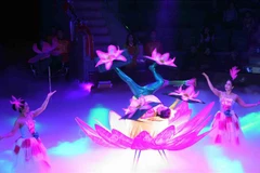 Circus artists show off talent at national competition