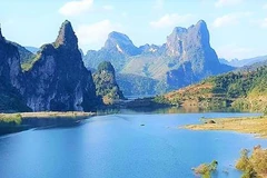 Northern Vietnam helps preserve prehistoric plants in East Asia