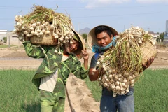 Intellectual property rights for Vietnam’s farm produce discussed