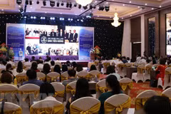 Ninh Binh hosts global health event 