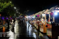 Trinh Cong Son walking street to offer free wifi services