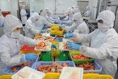 HCM City tops State budget revenue target