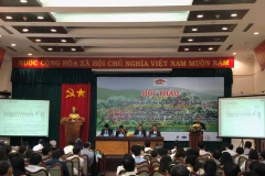 Deep processing needed to raise value of coffee: experts