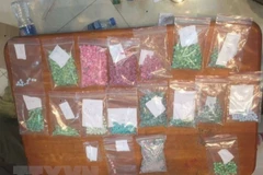 Over 4,200 meth pills seized in Quang Tri 