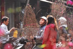 Lunar New Year holiday 2019 to last for 9 days