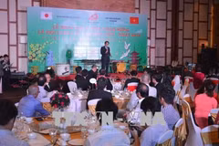 Da Nang hosts Vietnam - Japan cultural exchange festival