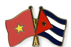 Association contributes to fostering Vietnam-Cuba relations 