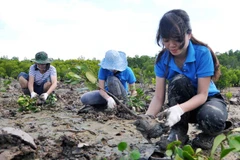 Vietnam wants to promote social forestry in ASEAN: official