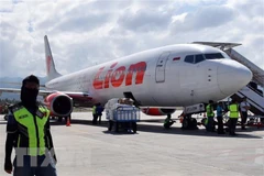 Indonesia orders checks on all Boeing 737 Max planes