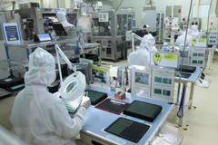 Better business climate grasps FDI flow from EU