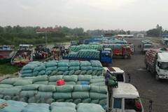 Agricultural product exports via Lao Cai border gate surge