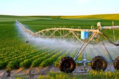 Hi-tech farming courses in Israel benefit Vietnamese students