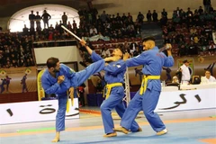 Arab Vovinam Federation established