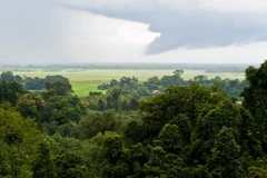 Laos signs Asian Forest Cooperation Organisation agreement