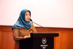 ASEAN women, children commission builds results framework of work plan