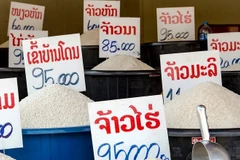Lao economy grows robustly, but with public debt risk: WB 