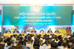 Local agriculture aims for top global 15: PM 