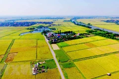 Agricultural land use market needs updated legal framework