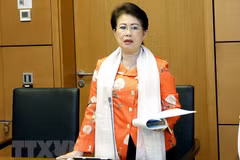 Dong Nai’s senior Party official dismissed from all Party posts