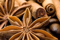 Spices could be nice export earner
