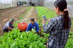 Code and barcodes are necessary to ensure safety