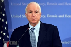 Senator McCain has special position in Vietnam-US relation history: Ambassador