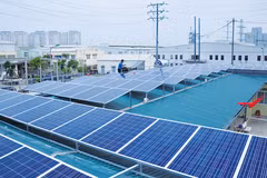 Rooftop solar panels can satisfy half of power demand: experts 