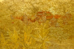 Lacquer painting exhibition opens